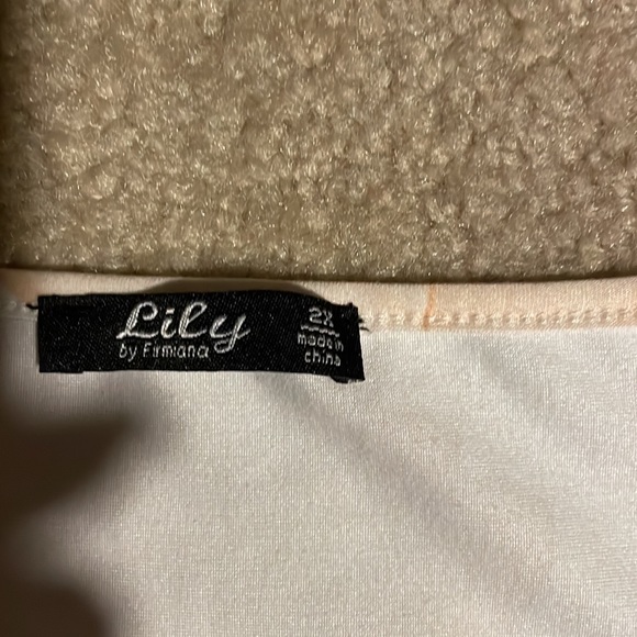 🔆 LILY BY FIRMIANA WOMEN'S PLUS SIZE 2X LIQUID SATIN DRESSY TUNIC TOP ROSES - Picture 2 of 3